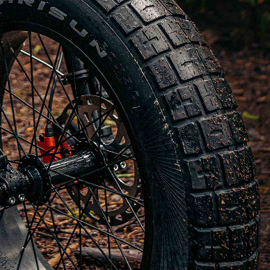 Coswheel CT20S 2000W Electric Fat Tire Bike