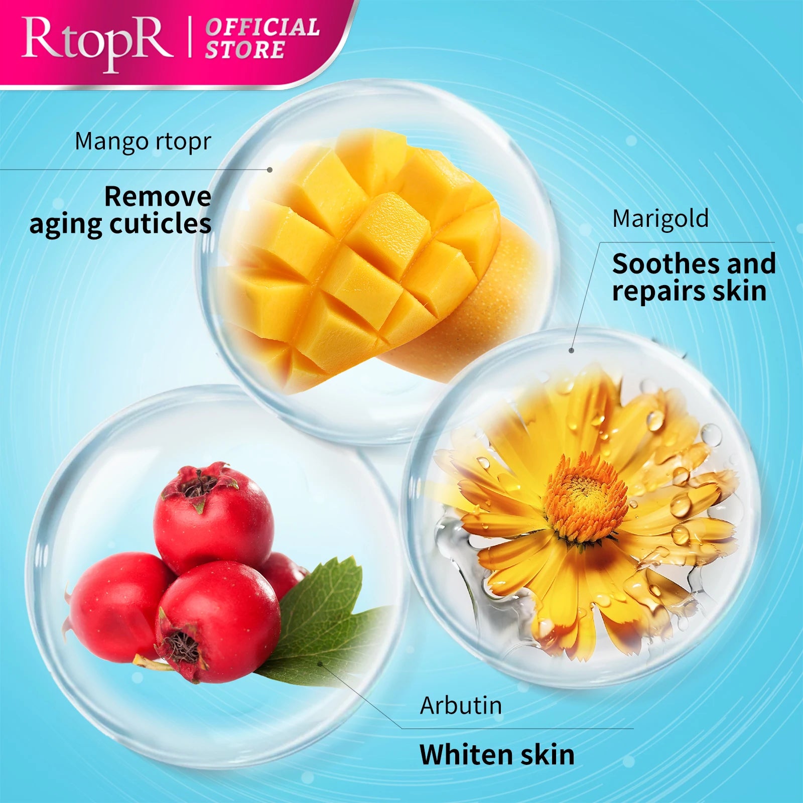 S1ce62c6b14214c8bbfad33f0036b390dK