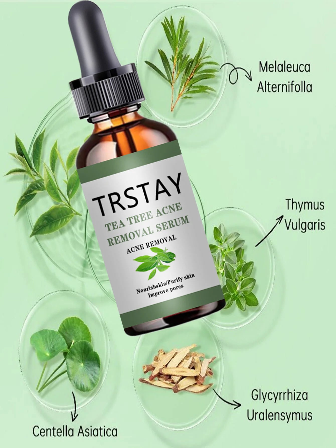 S9debed234aac4404976375a13970b1eeb